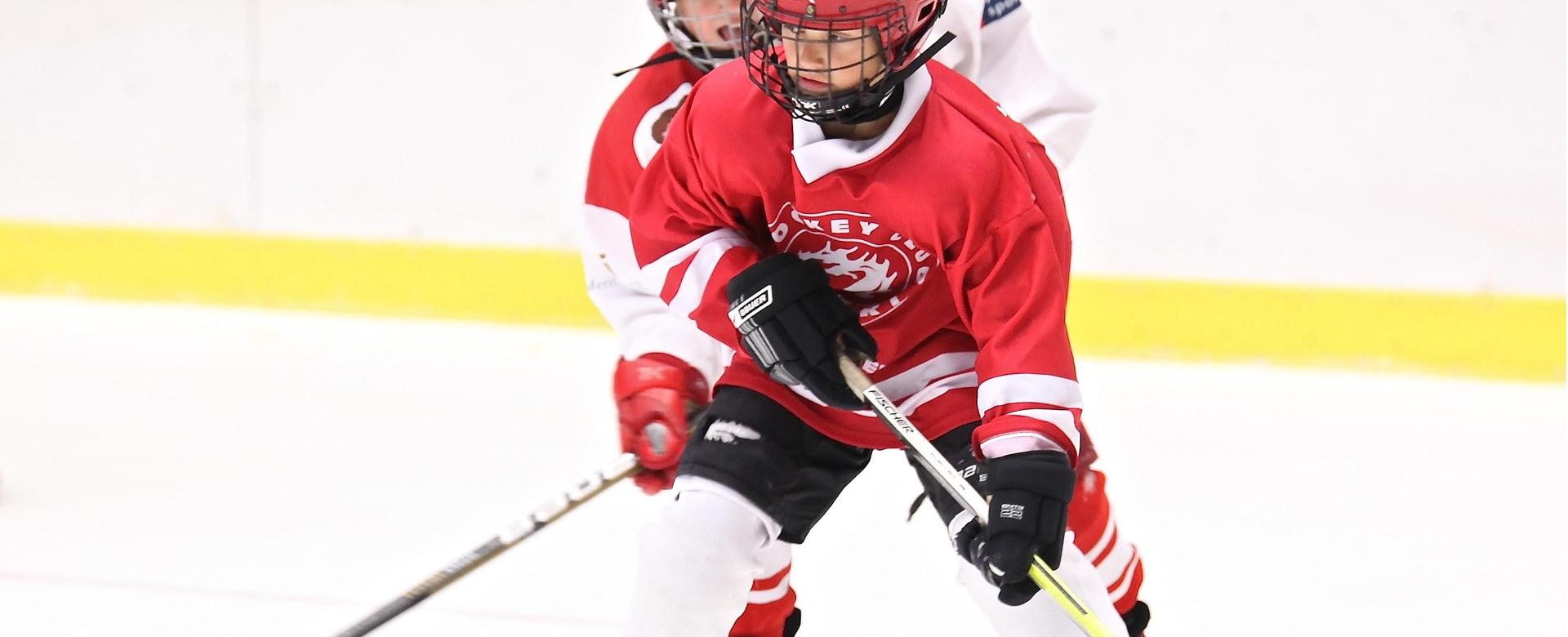 Hockey Stick Man Shop -Hockey Stick Man Shop hockey 2274221 1920