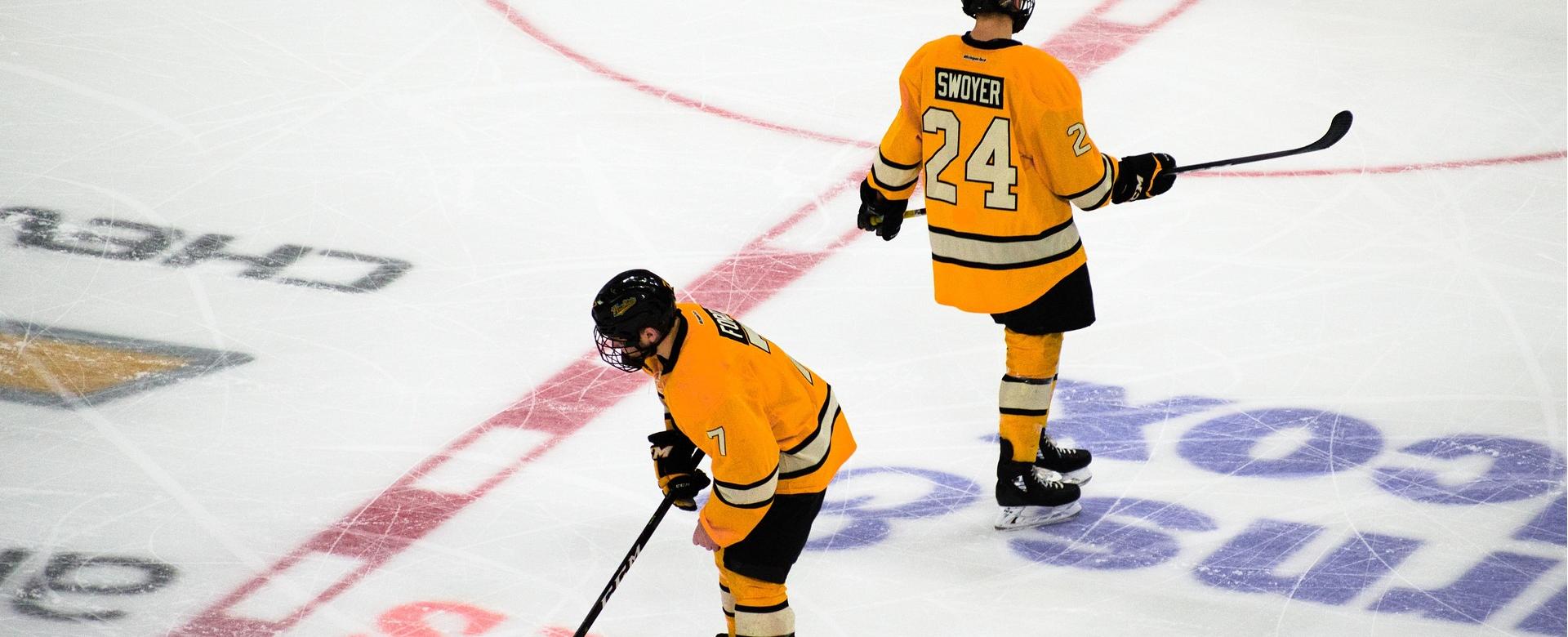 Hockey Stick Man Shop -Hockey Stick Man Shop hockey 3920077 1920